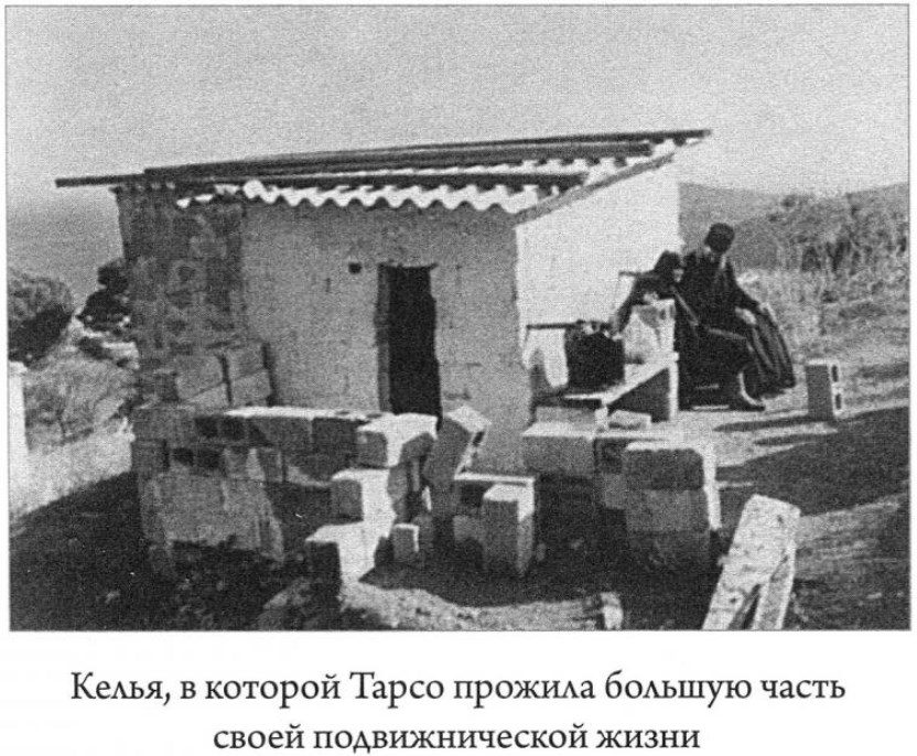 тарсо гріється на сонечку